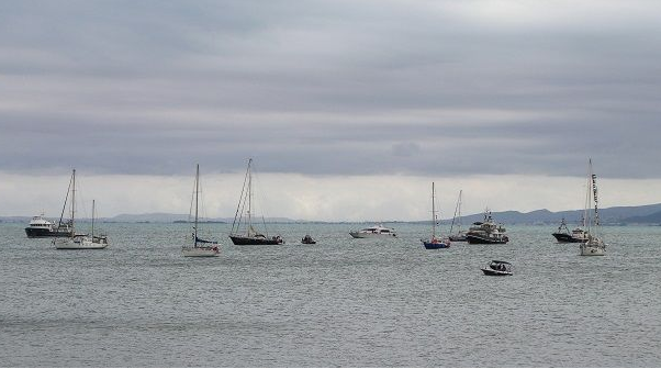 منظمة العفو الدولية تطالب بحماية أسطول الصمود